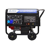 Сварочный генератор TSS GGW 5.0/200EDH-R